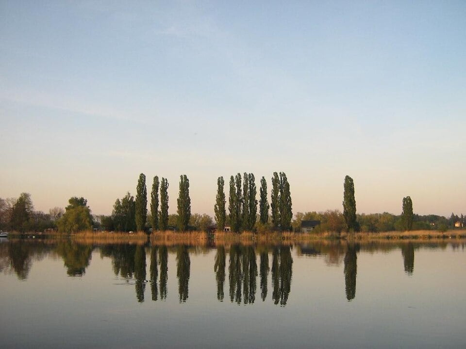 Havel