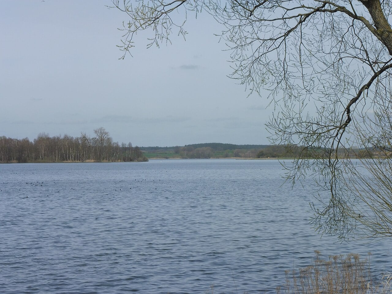 Krakower See