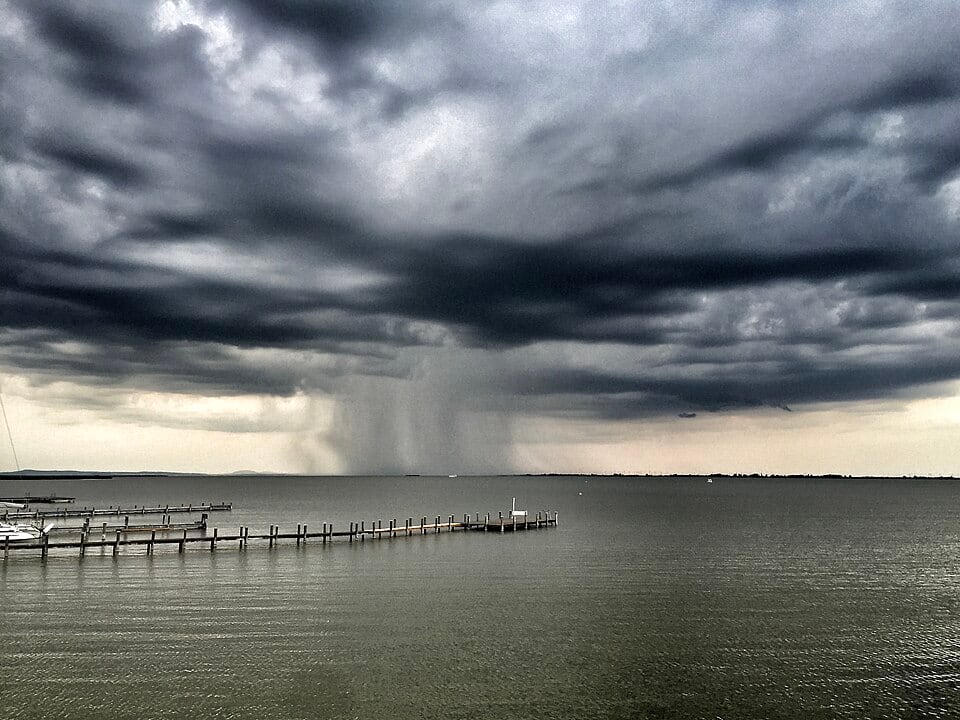 Neusiedler See