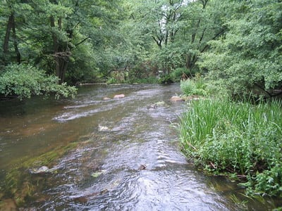 Warnow