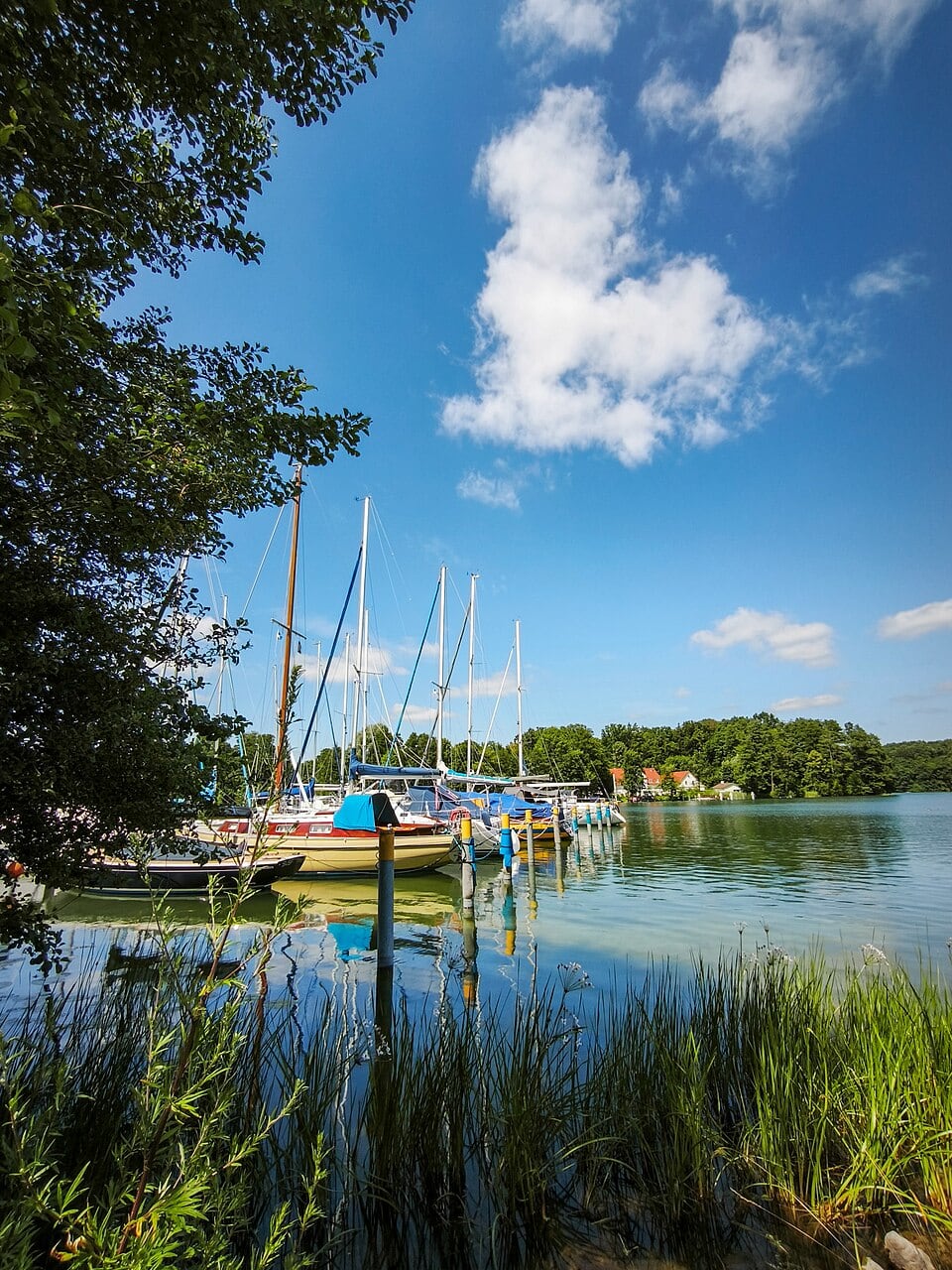 Werbellinsee