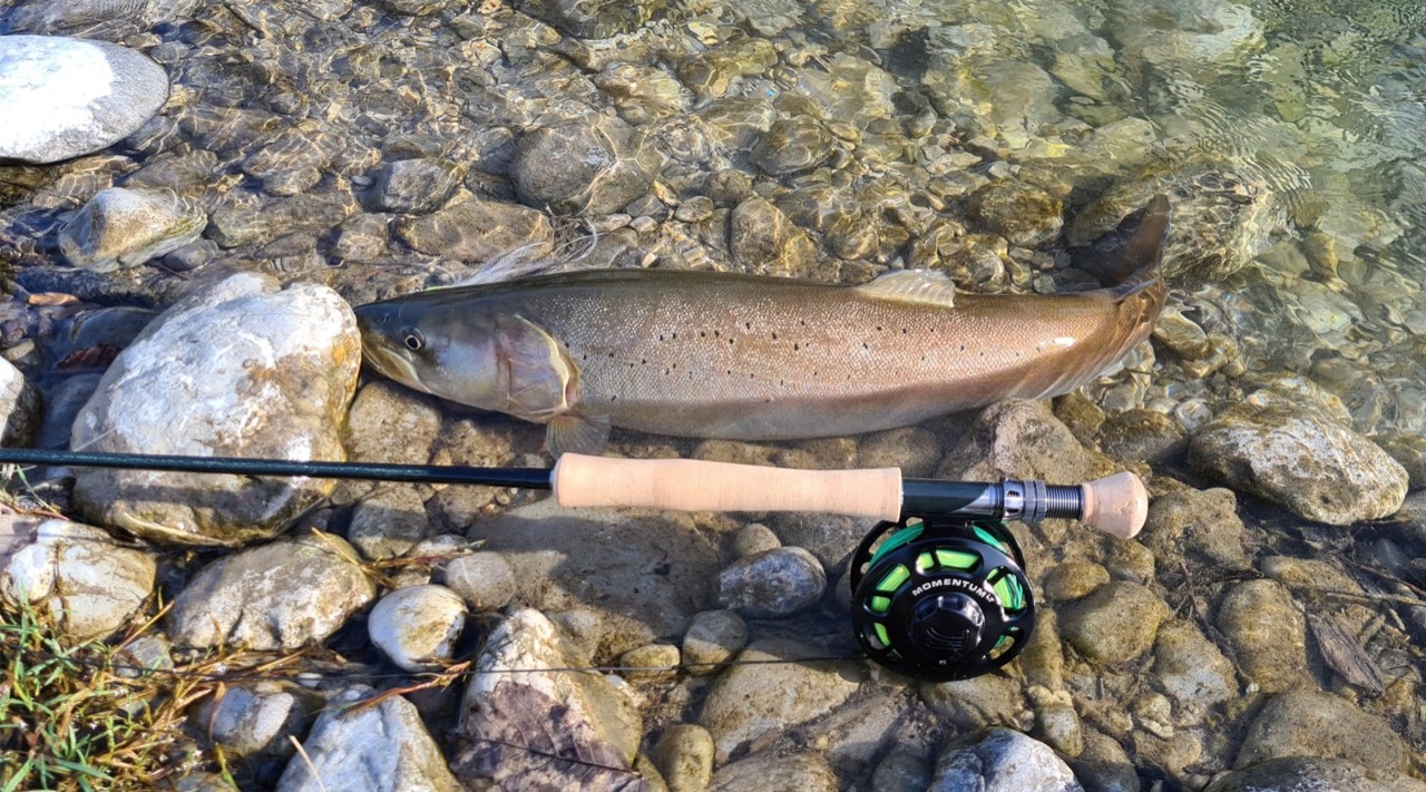 Alpine Angler