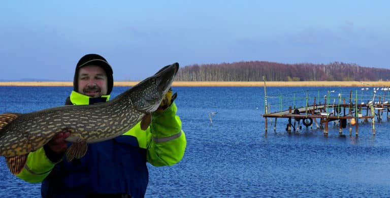Anglercamp Peenestrom