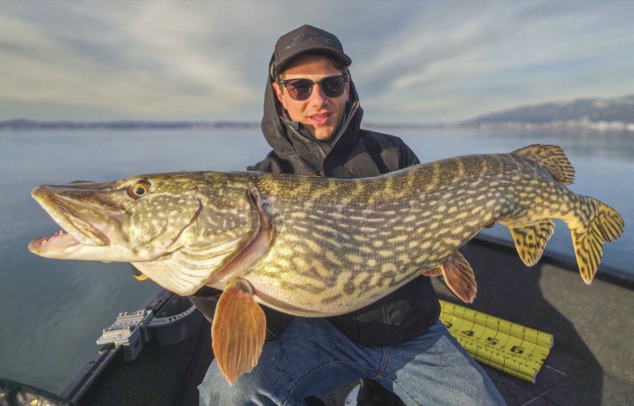Raubfisch Touren