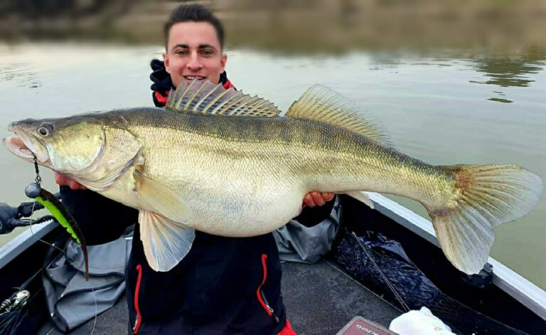 JOHNNY RELEASE – Guiding and more