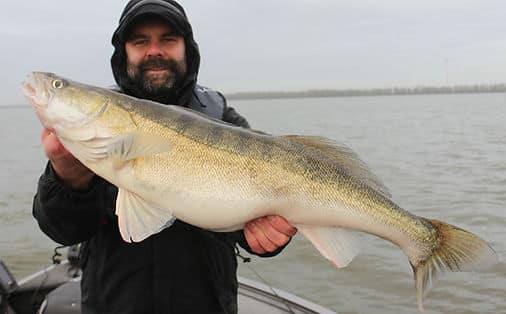 Lure Fishing Guide