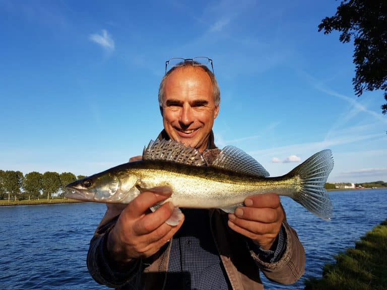 Visgids Frans