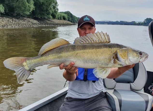 Zander Guiding